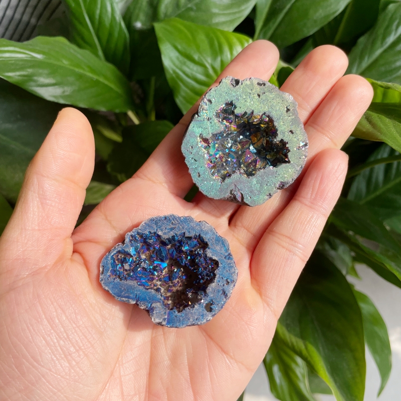 1734407496403502.jpg 1.jpg