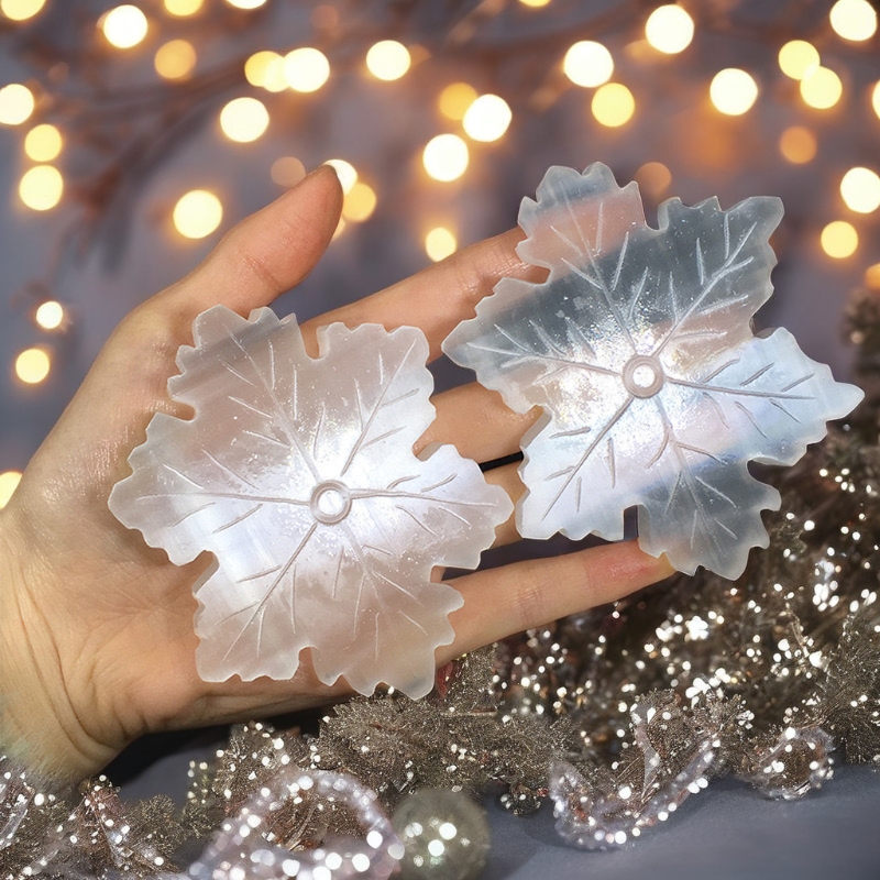 1735286487126196.jpg ai-36_副本.jpg