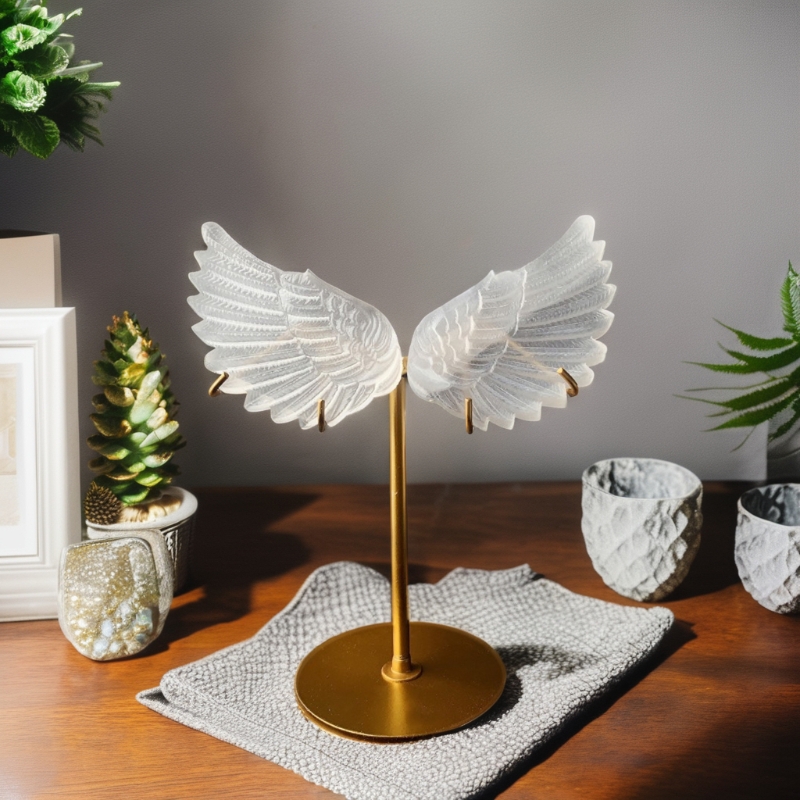 1735521425208419.jpg ai-263_副本_副本.jpg