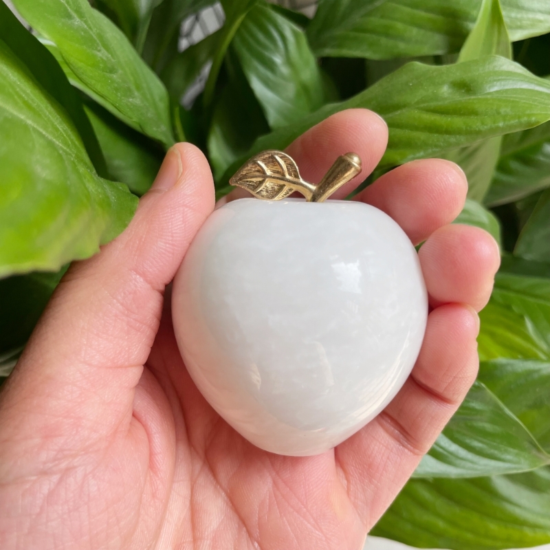 1735788172251426.jpg 2_副本.jpg