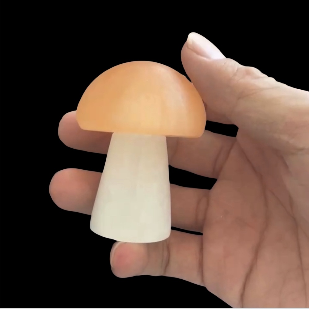 Carved Orange and White Selenite Mushroom Carved Orange and White Selenite Mushroom