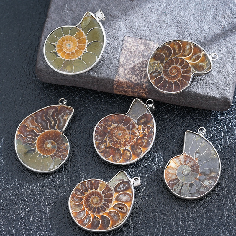 Snail Shaped Seashell Slicer Pendant Snail Shaped Seashell Slicer Pendant